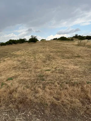 Grundstück kaufen in Neusiedl am See – 12 941 m², € 370.000 – Bild 4 von 4