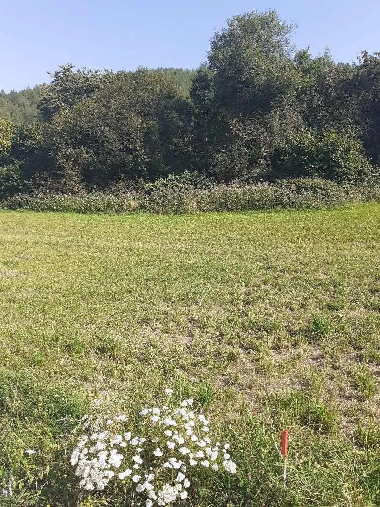 Baugrundstück in Kindberg - Ansicht 2