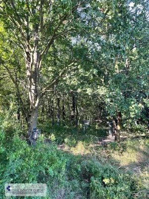 Grundstück kaufen in Tulln – 7 881 m², € 26.000 – Bild 4 von 9