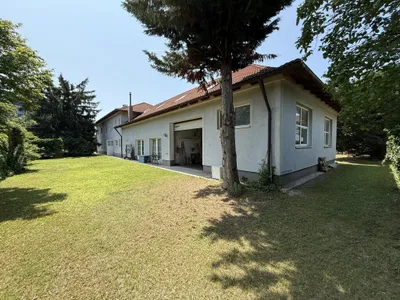 10-Zimmer-Haus kaufen in Wiener Neustadt – 460 m², € 790.000 – Bild 25 von 27