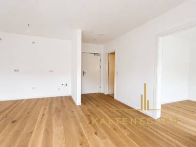 ERSTBEZUG ab 1. Juli | Ruhige 2-Zimmer-Neubauwohnung mit Balkon | Neue Küche | Rückseitige Grünruhelage | U6-Nähe – Bild 2