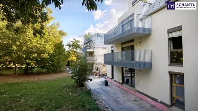 2-Zimmer-Wohnung kaufen in Wien – 38,13 m², € 259.000 – Bild 3 von 11