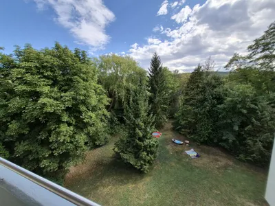 1-Zimmer-Wohnung mieten in Mödling – 30 m², € 554 – Bild 2 von 10