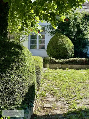 14-Zimmer-Haus kaufen in Mödling – 620 m² – Bild 17 von 18