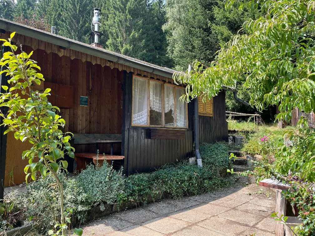 Gartengrundstück mit Wochenendhäuschen am See - Ansicht 3