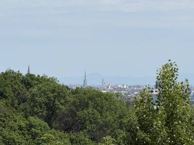 Exklusive vollmöblierte unbefristete Designer-Neubauwohnung mit Balkon, Fernblick & Deckenkühlung | 1130 Wien – Bild 3