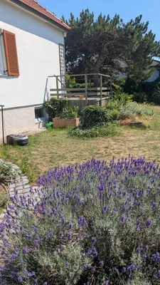 3-Zimmer-Haus mieten in Wiener Neustadt – 120 m², € 1.399 – Bild 12 von 48