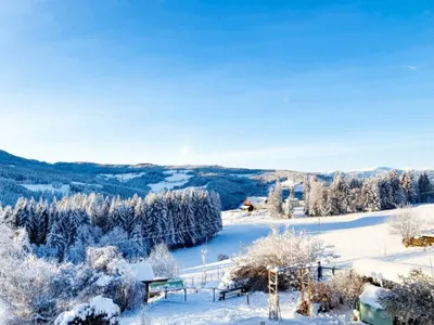 7-Zimmer-Gewerbeimmobilie kaufen in Wolfsberg – 250 m², € 499.000 – Bild 17 von 18