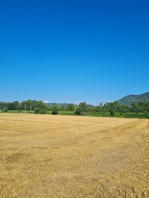 Grundstück zum Kauf in 9063 Klagenfurt Land