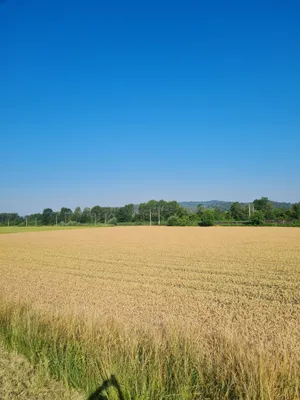 Grundstück kaufen in Klagenfurt Land – 1 130 m², € 110.000 – Bild 2 von 3