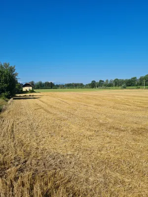Grundstück kaufen in Klagenfurt Land – 1 130 m², € 110.000 – Bild 3 von 3
