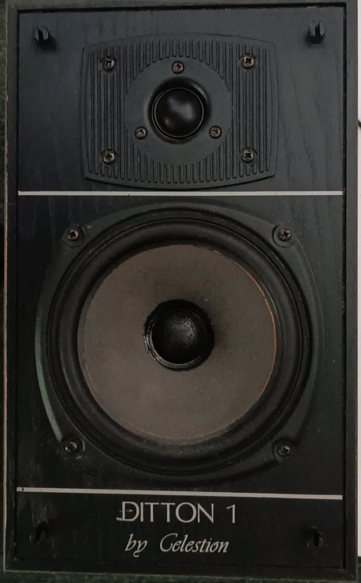 Used celestion 1 for Sale | HifiShark.com