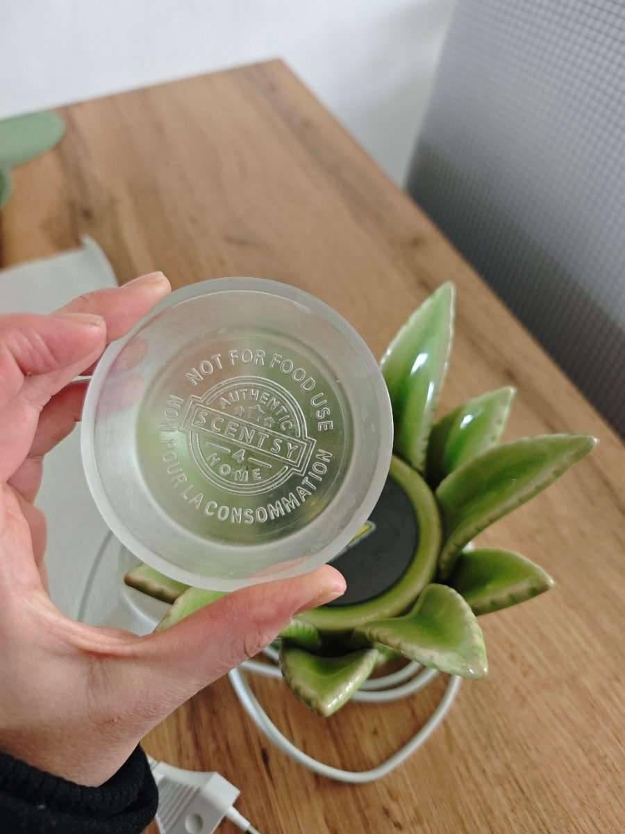 Scentsy Aloe Vera Warmer,  45,- (2521 Trumau) - willhaben