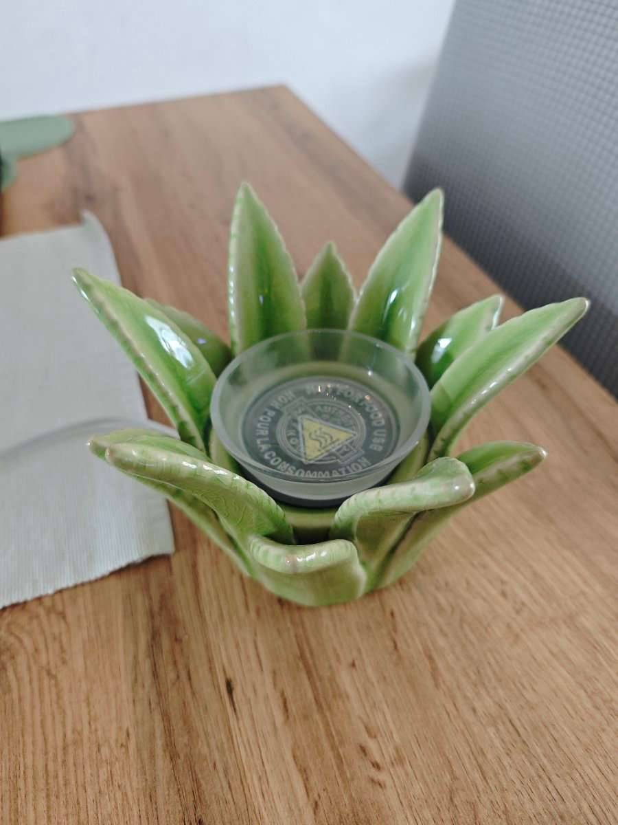 Scentsy Aloe Vera Warmer,  45,- (2521 Trumau) - willhaben