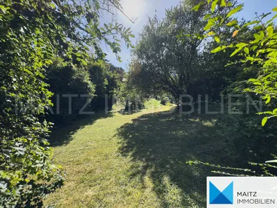 Haus kaufen in Mödling – 778 m², € 550.000 – Bild 5 von 8