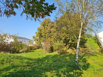 7-Zimmer-Gewerbeimmobilie mieten in Korneuburg – 279 m², € 1.980 – Bild 26 von 27