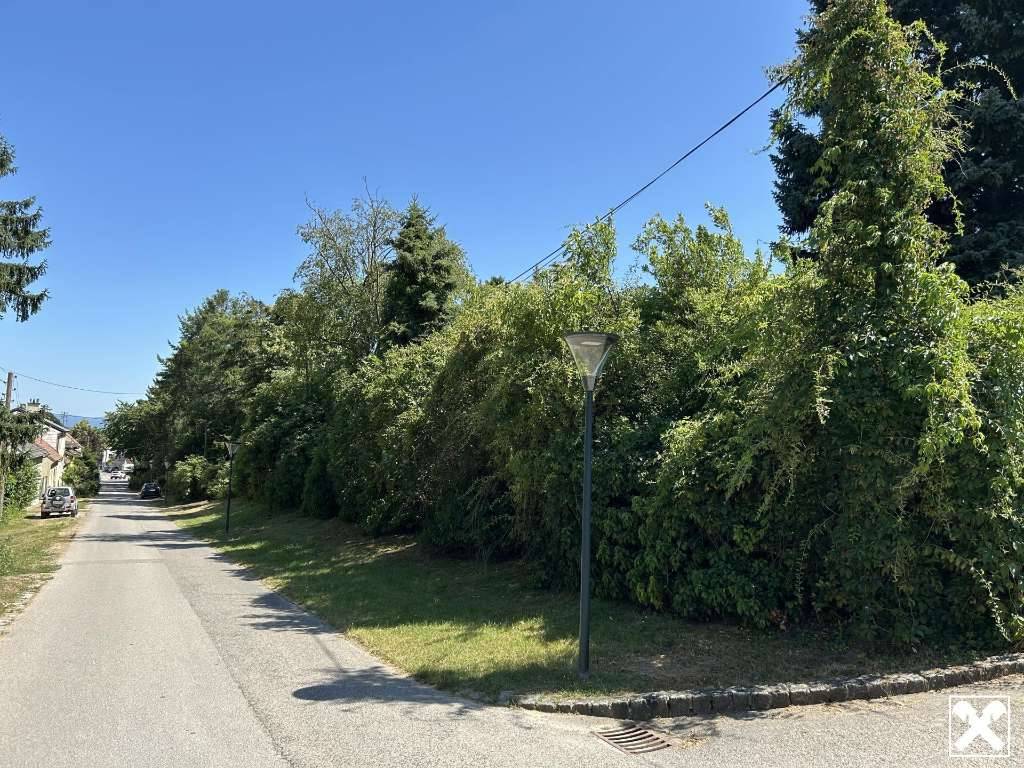 Landgut ca. 6200 m² in 2262 Stillfried - Ansicht 2