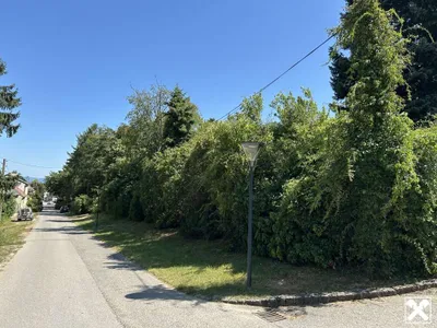5-Zimmer-Gewerbeimmobilie kaufen in Gänserndorf – 265 m², € 579.000 – Bild 2 von 34