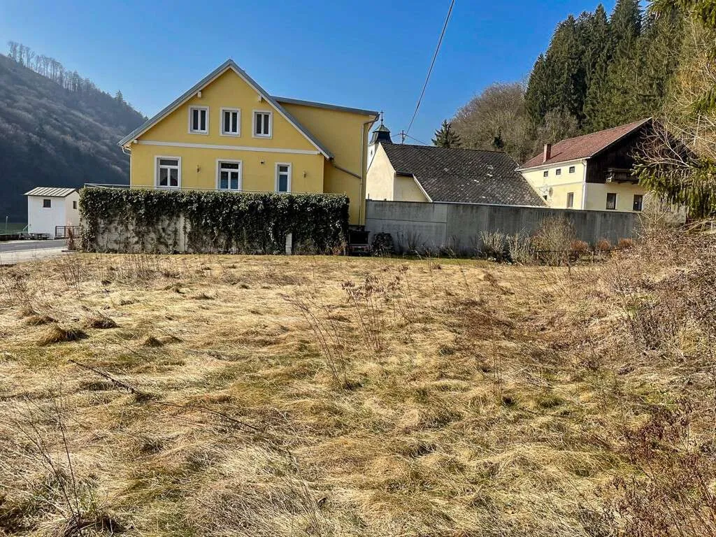 Einzigartiges Donaugrundstück im Strudengau - 2.324 m² Naturparadies in St. Nikola an der Donau - Ansicht 3