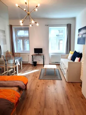 All in, max. 6 Monate, nähe 1. Bezirk und Wien Mitte