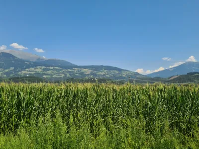 Grundstück kaufen in Spittal an der Drau – 823 m², € 98.760 – Bild 5 von 6