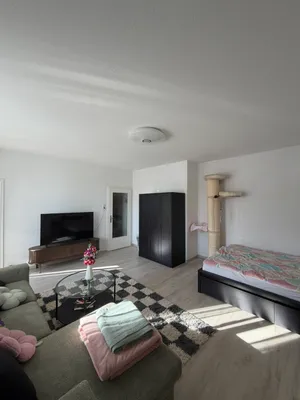 1-Zimmer-Wohnung mieten in Linz Land – 40 m², € 540 – Bild 2 von 7