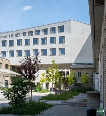 Gewerbeimmobilie mieten in Wien – 311 m², € 16 – Bild 3 von 16