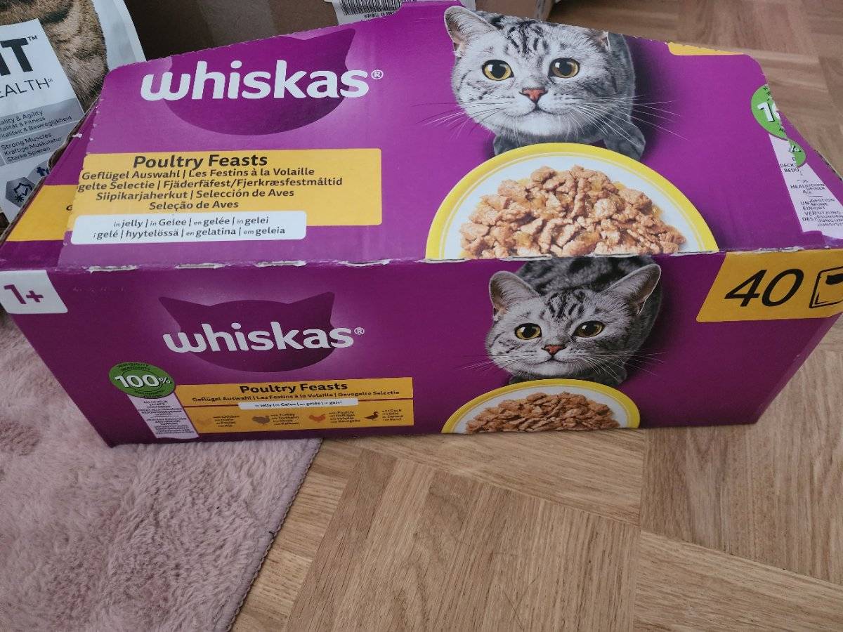 dm katzenfutter trockenfutter Purina DM Diabetes Management
