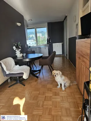 2-Zimmer-Wohnung mieten in Linz – 60 m², € 730 – Bild 3 von 9