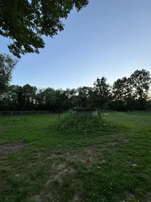 Immobilie mieten in Wolfsberg – 5 000 m² – Bild 7 von 9