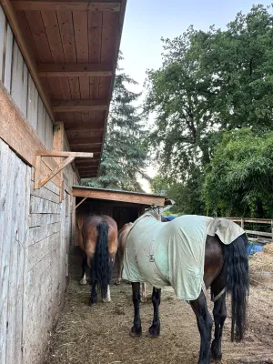 Immobilie mieten in Wolfsberg – 5 000 m² – Bild 8 von 9
