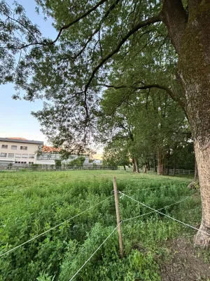 Immobilie mieten in Wolfsberg – 5 000 m² – Bild 6 von 9