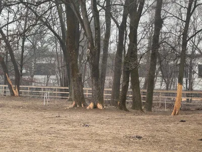 Immobilie mieten in Wolfsberg – 5 000 m² – Bild 9 von 9