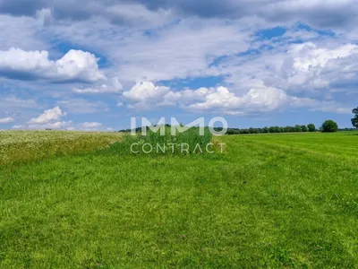 6-Zimmer-Immobilie kaufen in Oberwart – 2 667 m², € 139.000 – Bild 31 von 36