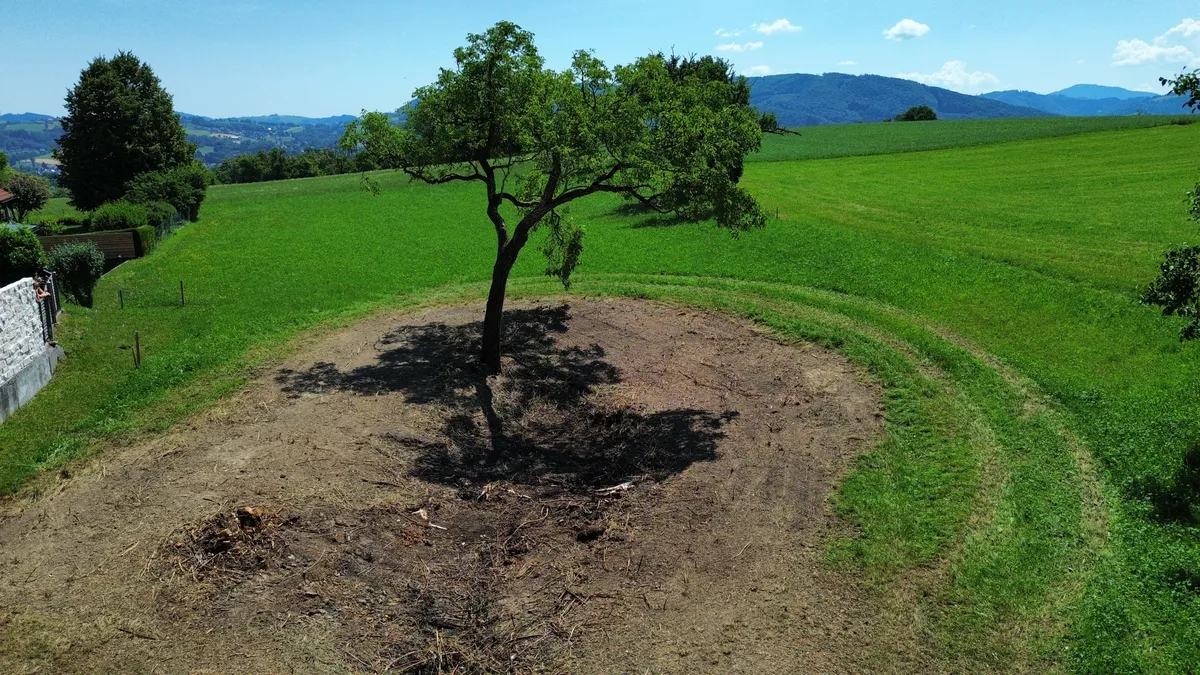 Baugrundstück mit sonniger Südausrichtung in ruhiger grüner Lage (Sandbauernstr.) - Ansicht 2