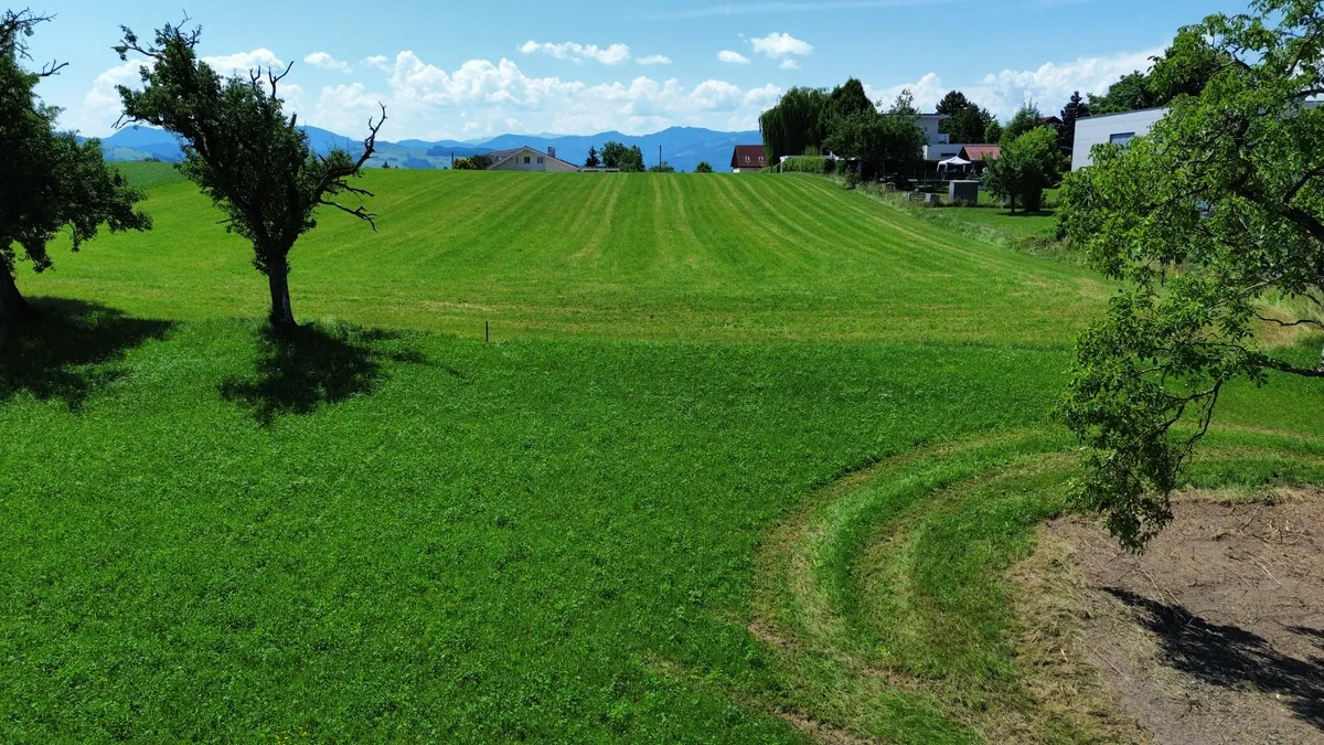 Baugrundstück mit sonniger Südausrichtung in ruhiger grüner Lage (Sandbauernstr.) - Ansicht 3