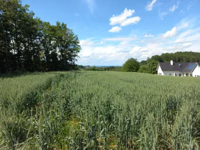 Grundstück kaufen in Güssing – 14 756 m², € 169.000 – Bild 1 von 5