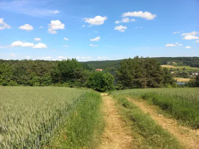 Grundstück kaufen in Güssing – 14 756 m², € 169.000 – Bild 4 von 5