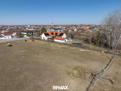 Grundstück kaufen in Neusiedl am See – 10 000 m², € 2.900.000 – Bild 9 von 9