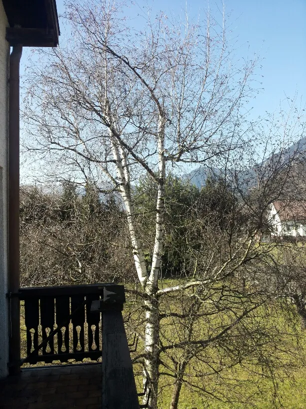 Wohnung – Schmidsdorf - Ansicht 3