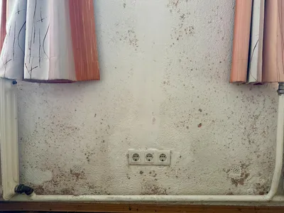 6-Zimmer-Haus kaufen in Ried im Innkreis – 180 m², € 780.000 – Bild 35 von 50