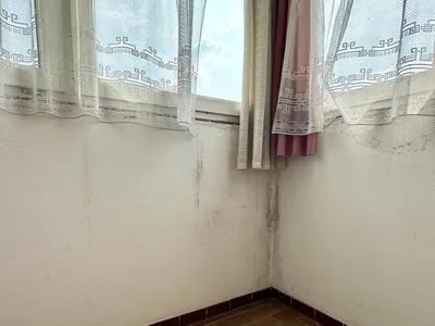 6-Zimmer-Haus kaufen in Ried im Innkreis – 180 m², € 780.000 – Bild 21 von 50