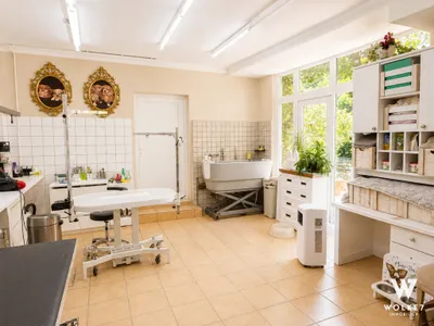 11-Zimmer-Gewerbeimmobilie kaufen in Wien – 279,53 m², € 1.290.000 – Bild 9 von 23
