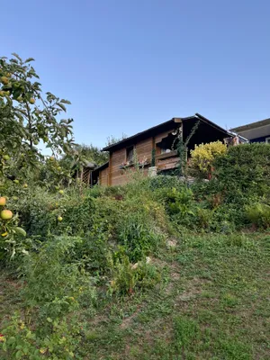 Immobilie kaufen in Linz – 315 m², € 5.500 – Bild 4 von 5