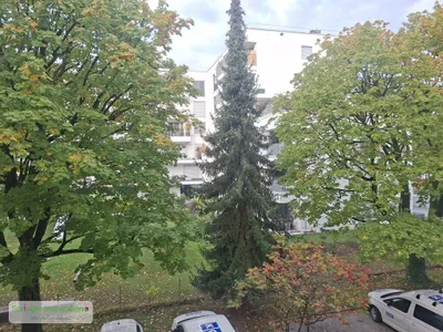 1-Zimmer-Wohnung mieten in Salzburg Stadt – 30 m², € 644 – Bild 10 von 12