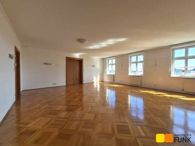 Palaiswohnung mit Donaublick – Bild 3