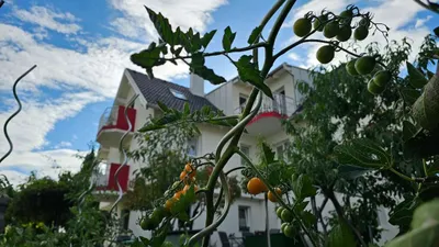 10-Zimmer-Haus kaufen in Wien – 425 m², € 550.000 – Bild 58 von 58