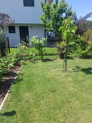 6-Zimmer-Haus kaufen in Leibnitz – 141 m², € 895.000 – Bild 12 von 23