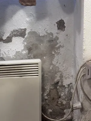 Wohnung kaufen in Wien – € 1.300.000 – Bild 8 von 39