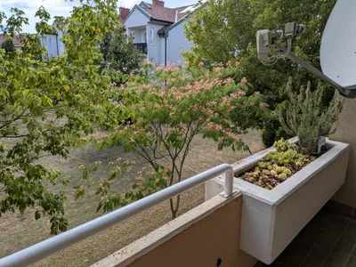 3-Zimmer-Wohnung mieten in Eisenstadt - Umgebung – 88 m², € 980 – Bild 3 von 13